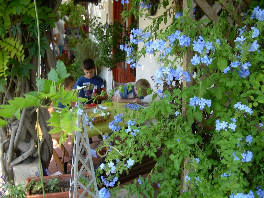 River Ebro Holidays Tivenys 外观 照片